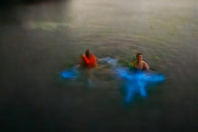 Bioluminescence Tour - What to Expect from the Bioluminescence Tour