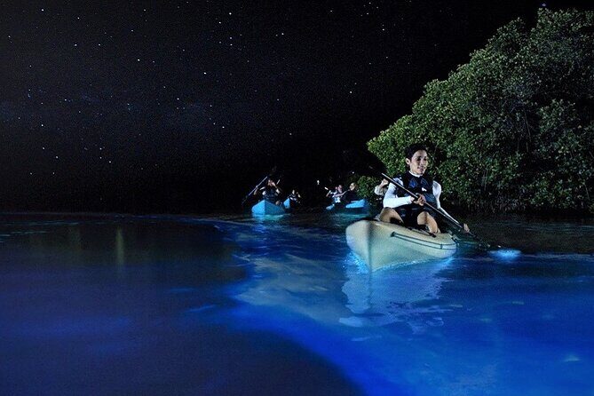 Bioluminescence Tour in Kayak in Holbox Island - Reviews: Authentic Perspectives