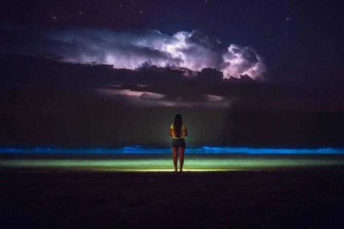 Bioluminescent Bay Adventure in Grand Cayman - The Sum Up