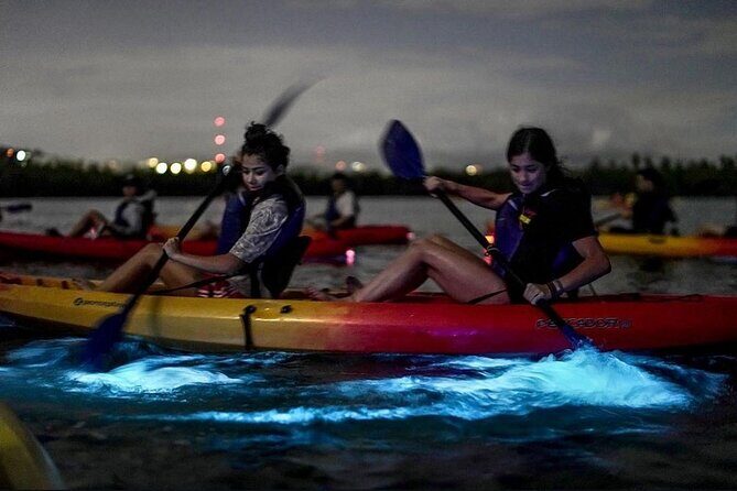 Bioluminescent Bay Kayak Tour in Fajardo Puerto Rico - Introduction