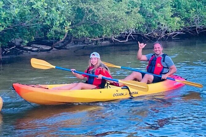 Bioluminescent Bay Kayak Tour in Fajardo Puerto Rico - Who Should Consider This Tour?