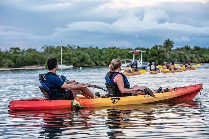 Bioluminescent Bay Kayak Tour in Fajardo Puerto Rico - The Sum Up
