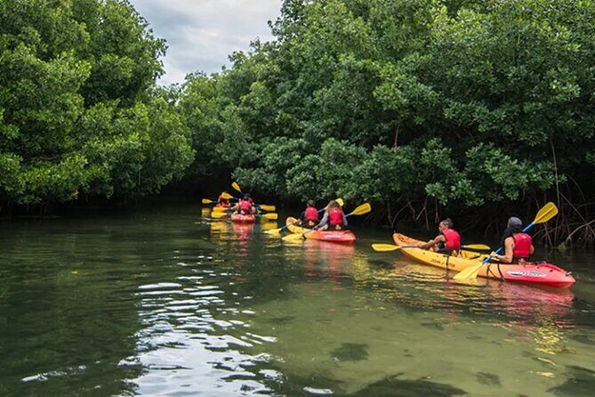Bioluminescent Bay Kayak Tour in Fajardo Puerto Rico - FAQ