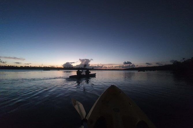 Bioluminescent Bay Night Kayaking, Fajardo - The Sum Up: Is This Tour Right For You?
