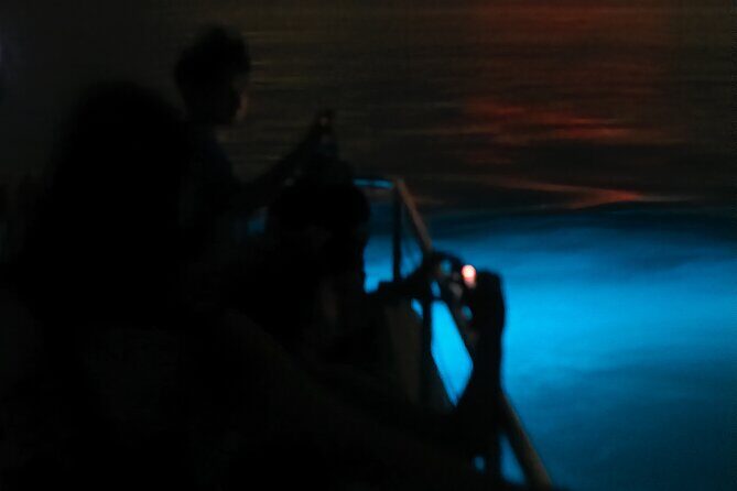 Bioluminescent Boat Tour in Mosquito Bay, Vieques - Final Thoughts