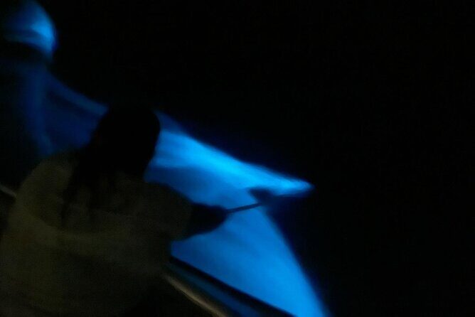 Bioluminescent Boat Tour in Mosquito Bay, Vieques - FAQs
