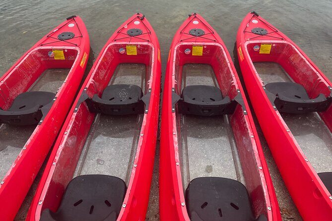 Bioluminescent Clear Bottom Kayak or Paddleboard Sit-On-Top Kayak Hybrid Tour! - What to Expect from the Tour