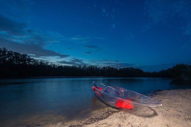 Bioluminescent Clear Kayak Tours in Titusville - An In-Depth Look at the Tour Experience