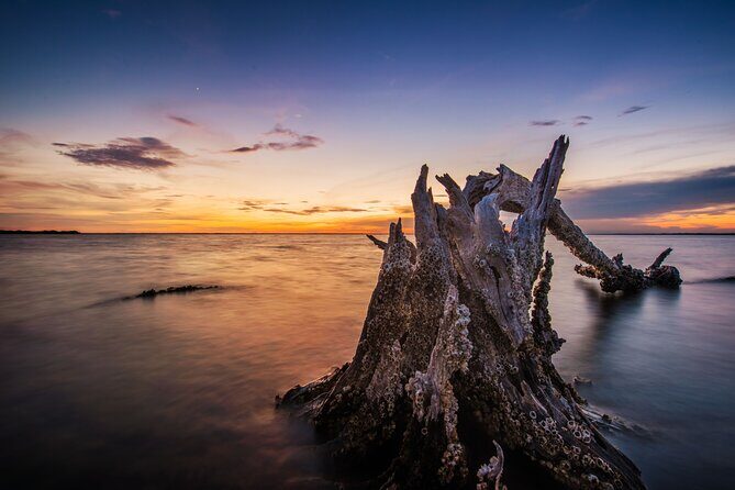 Bioluminescent Clear Kayak Tours in Titusville - FAQs