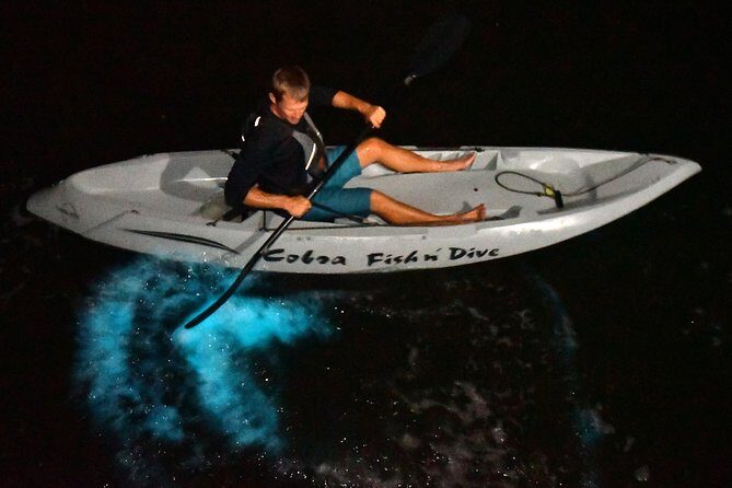 Bioluminescent Kayak Tour by THE #1 Rated Company in Cocoa Beach - What the Tour Offers: A Closer Look