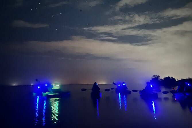Bioluminescent Kayak Tour in Floridas Indian River Lagoon - Key Points
