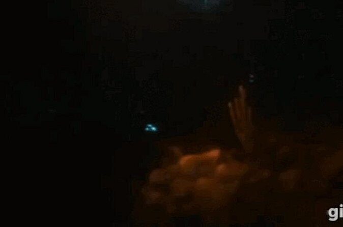 Bioluminescent Night Snorkeling - The Experience’s Drawbacks and Considerations