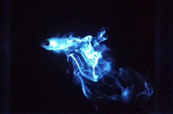 Bioluminescent Night Snorkeling - Who Should Book This Tour?