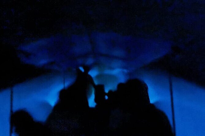 Bioluminescent Night Tour - An In-Depth Look at the Bioluminescent Night Tour