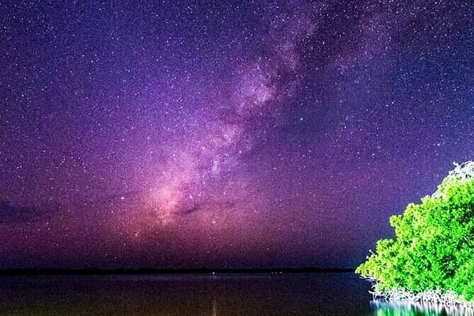Bioluminescent Night Tour - FAQ