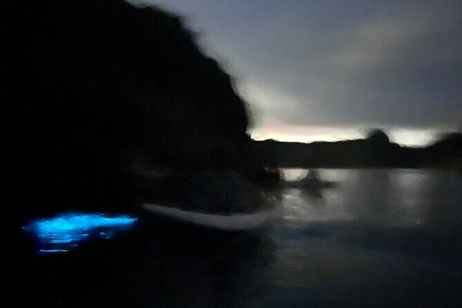 Bioluminescent Plankton Kayak Boat Tour - Who Will Love This Tour?