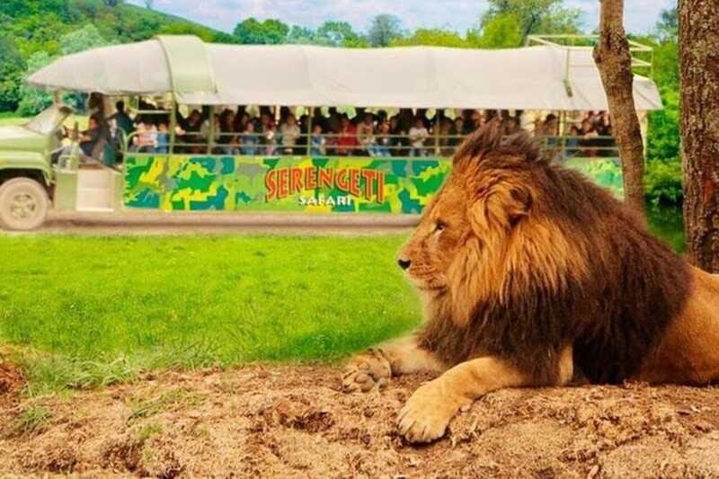 Bioparque Estrella Safari Experience Ticket - Who Should Visit?
