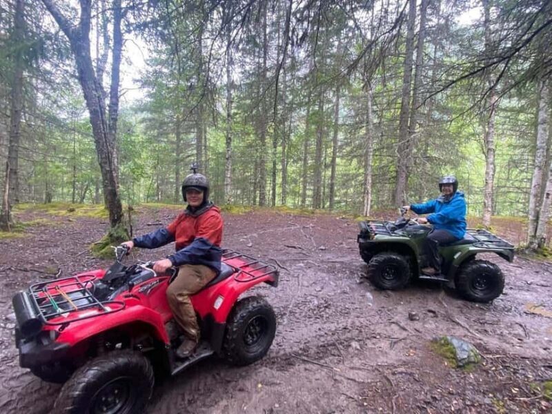 Bird Creek: Chugach State Park ATV Nature Tour & Hike - What to Expect on the Tour