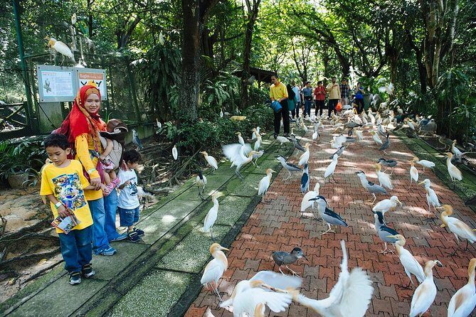 Bird Park & Butterfly Farm Nature Include All Entrance Tour From Kuala Lumpur - FAQ
