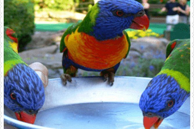 Bird Sanctuary and animal farm Day Tour - Key Points