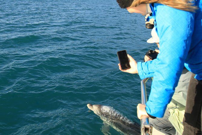 Bird Watching and Dolphin Eco-Tour to Blumine Island - Who Will Love This Tour?