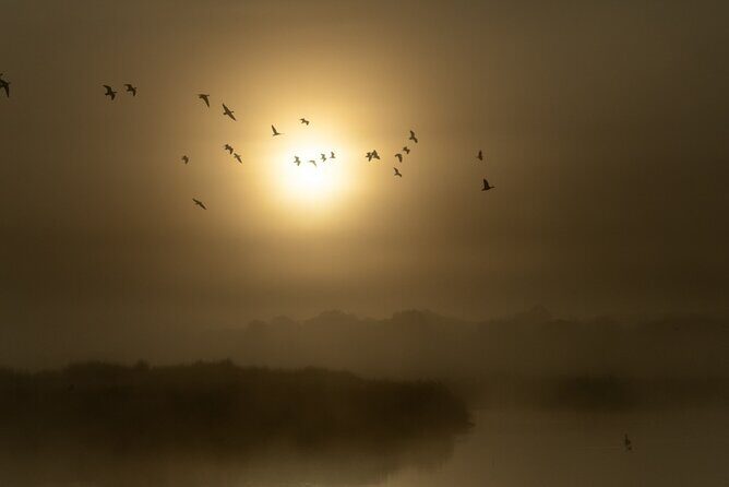 Bird watching and photography around Bathurst, Australia - Final Thoughts: Is It Worth It?