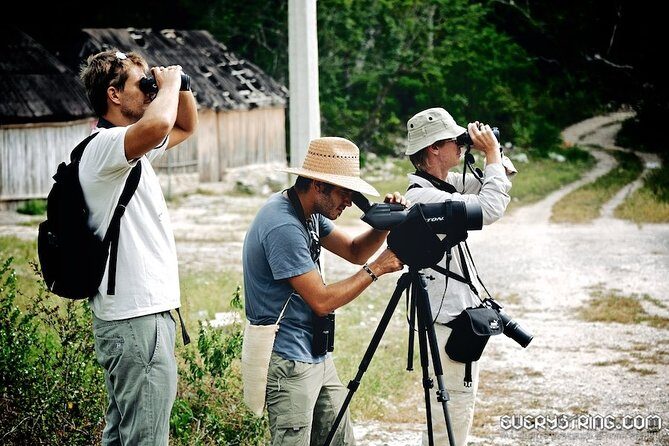 Bird Watching in Sian Ka´an Muyil - Final Thoughts: Is This Tour for You?