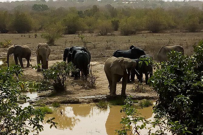 Bird watching tours , cultural and historical tours of Ghana. - Frequently Asked Questions