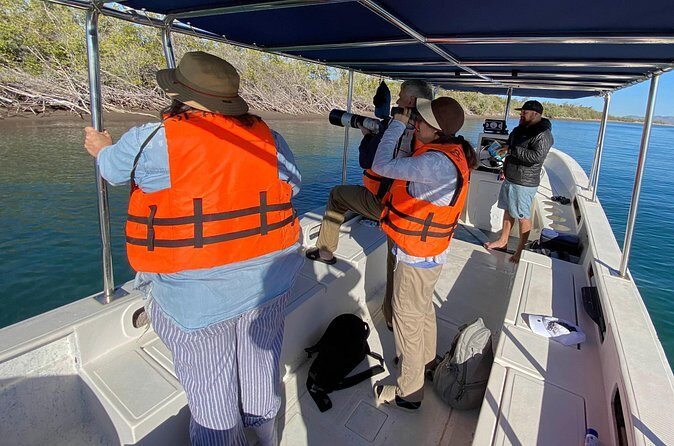 Birding By Sea and Land 4hr. La Paz Mexico - Why This Tour Works