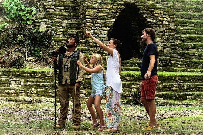 Birdwatching at The Mayan Cities with certified guide - Authentic Experiences & Authentic Encounters