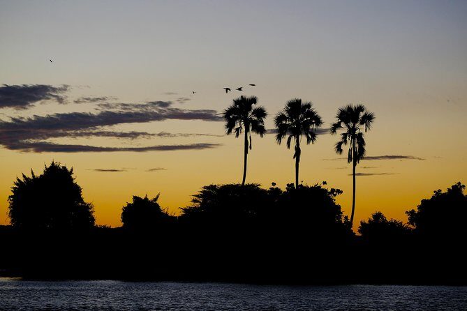 Birdwatching Cruise in Zambezi River with Breakfast - FAQ