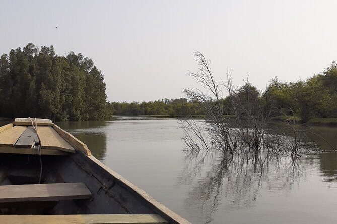 Birdwatching tours - The Guide and Group Dynamics