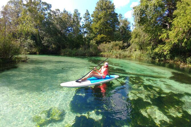 Biscayne Bay Island and Nature Exploration - A Deep Dive into the Biscayne Bay Experience