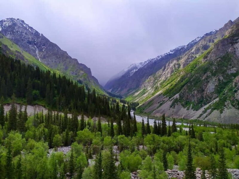 Bishkek: Ala Archa National Reserve Half-Day Tour with Hike - An In-Depth Look at the Experience