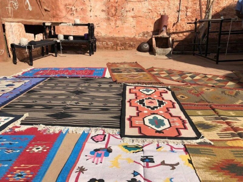 Bishnoi Village Safari Private Half Day Tour - Key Points