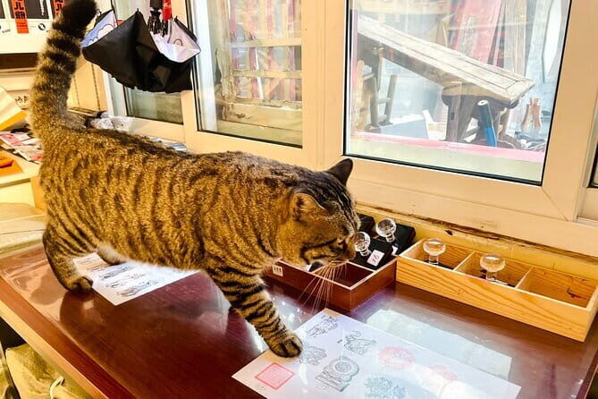 Bite and Stroll: Brunch Tour in Old Town Beijing! - FAQ
