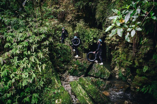 Black Abyss: Ultimate Waitomo Caving - Private Tour from Auckland - Authentic Experiences and Traveler Feedback
