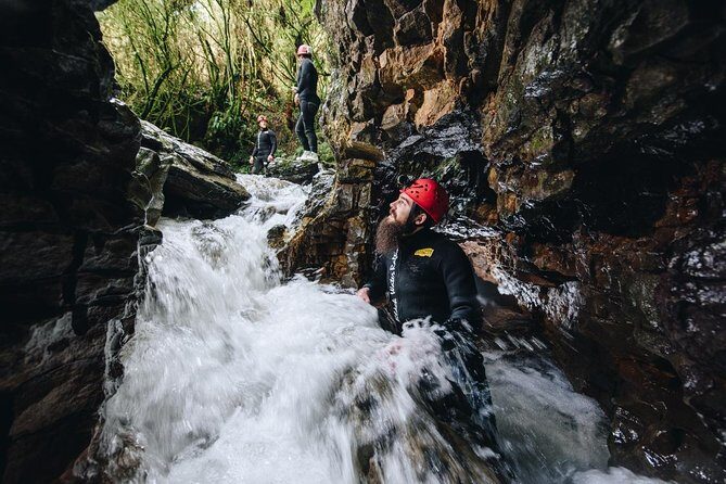 Black Abyss: Ultimate Waitomo Caving - Private Tour from Auckland - Who Will Love This Tour?
