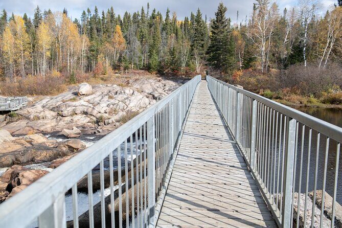 Black Bear viewing and walking at oudoor ctr's Canyon - Final Thoughts