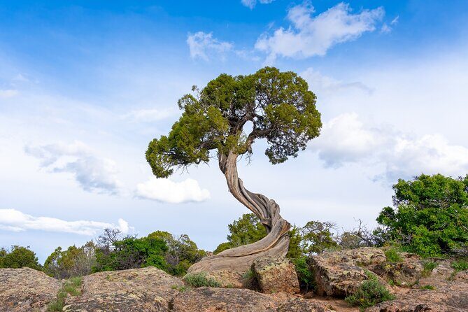 Black Canyon of the Gunnison Self-Guided Audio Driving Tour - Practical Tips for the Tour