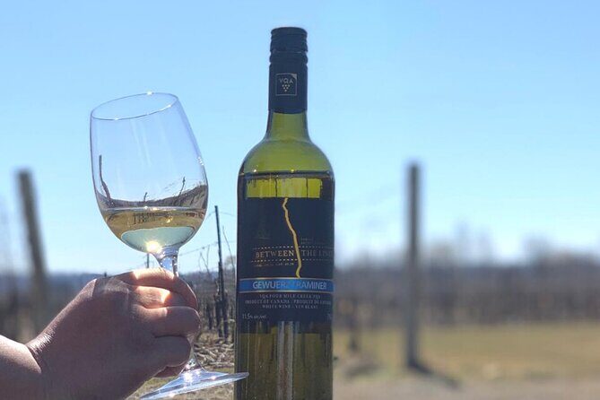 Black Glass Wine Tasting - Practical Details and Tips