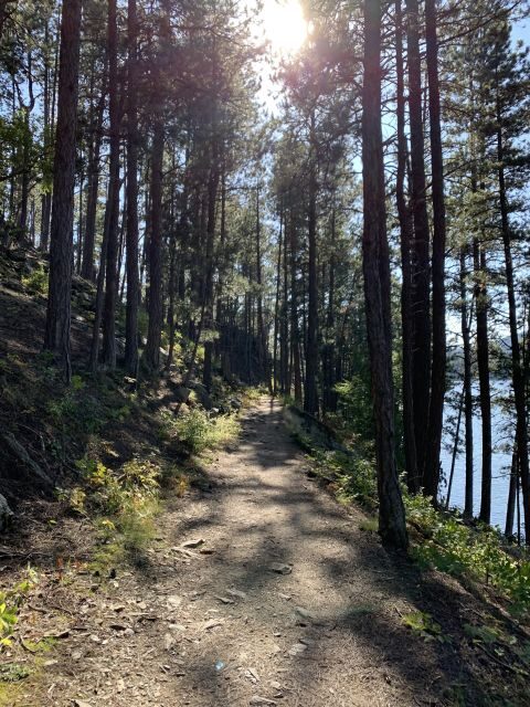 Black Hills: Private Tour of Mt. Rushmore & Flume Trail Hike - An In-Depth Look at the Black Hills Private Tour