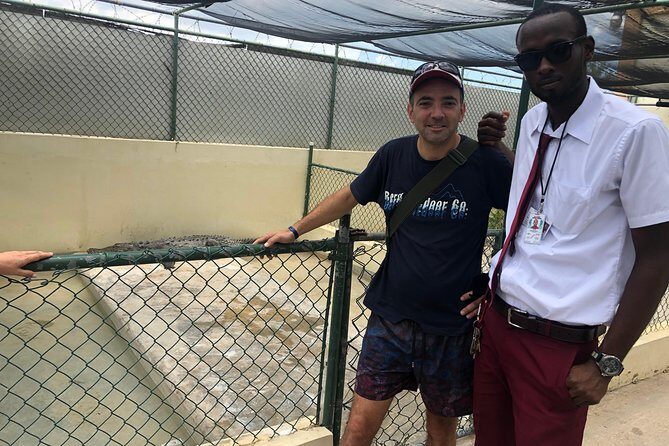 Black River Safari and YS Falls - An In-Depth Look at the Experience