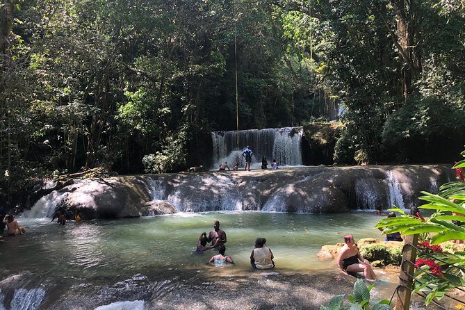 Black River Safari, YS Falls and Appleton Estate - Key Points