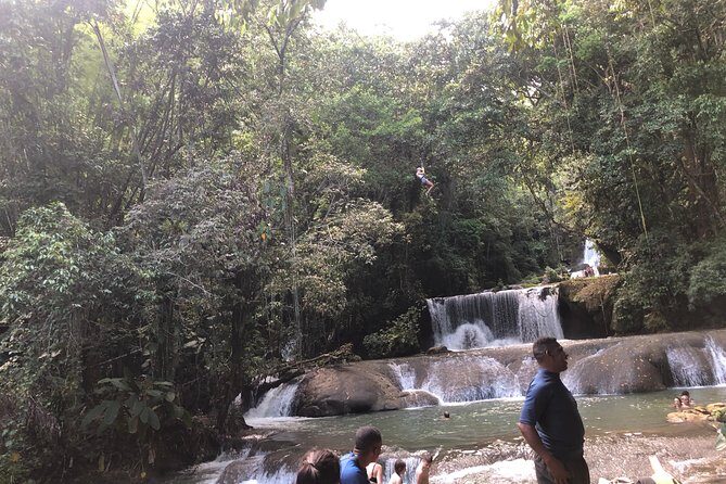Black River Safari, YS Falls and Appleton Estate - An Overview of the Tour: What to Expect