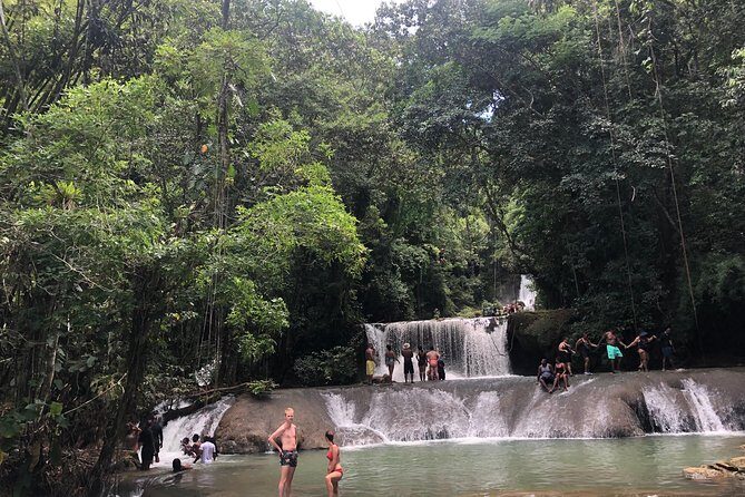 Black River Safari, YS Falls and Appleton Estate - The Sum Up: Who Will Love This Tour?