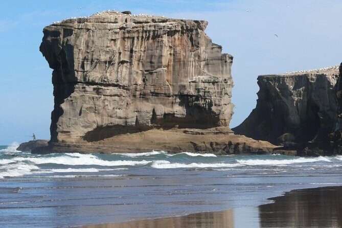 Black Sand Beaches & Birds Auckland Sightseeing Tour - References