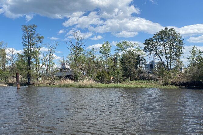 Black Water Adventure Cruise - An In-Depth Look at the Black Water Adventure Cruise