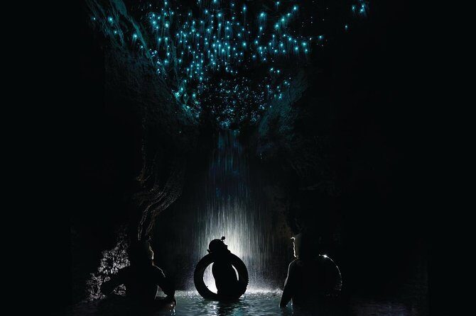 Black Water Rafting Experience Waitomo Caves Tour - Black Water Rafting Experience Waitomo Caves Tour: An In-Depth Look