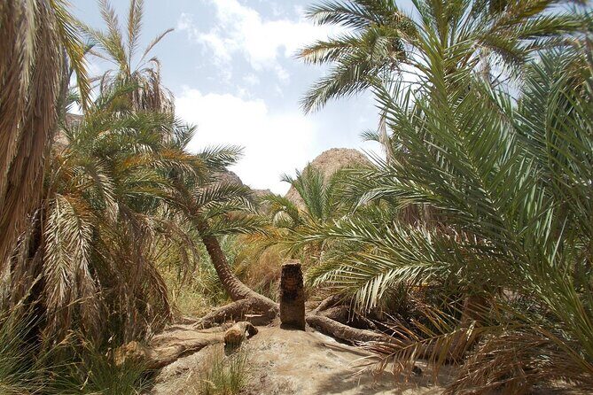 Black - White Desert and Bahariya Oasis two days Tour - Who Should Consider This Tour?